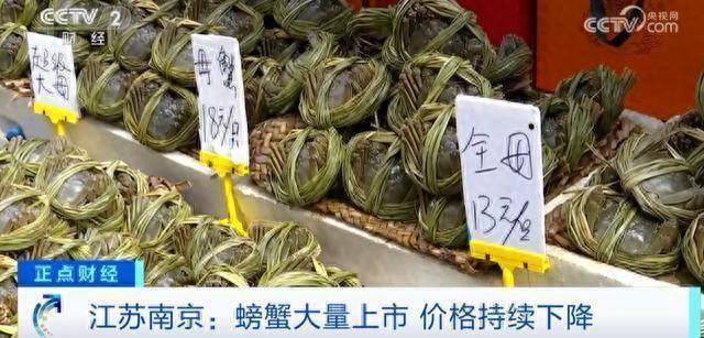 大闸蟹跌出“白菜价” 产量和品质都提升了但10元一只还没人买 
