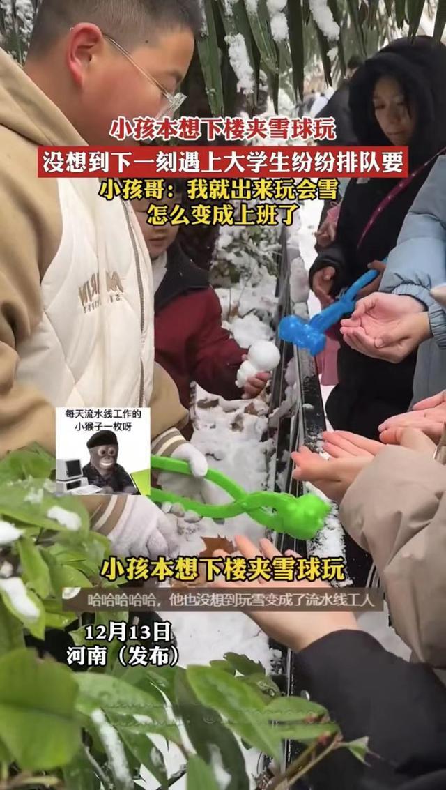雪天小孩哥夹雪熊哄大学生忙成流水线