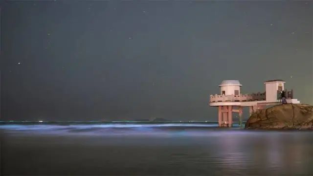 珠海一沙滩出现“蓝眼泪”奇观，如繁星坠落照亮海岸线