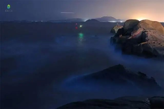 珠海一沙滩出现“蓝眼泪”奇观，如繁星坠落照亮海岸线
