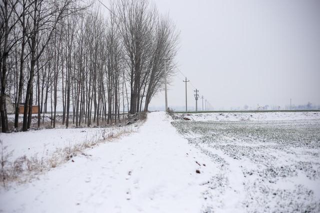 月底河南大部将迎来雨雪天气但强度较弱