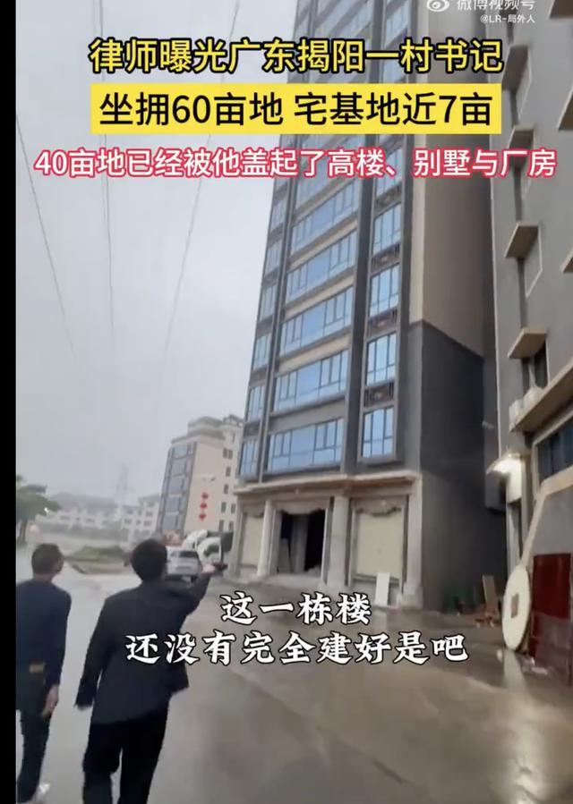 广东一村干部坐拥60亩地用40亩盖高楼别墅 官方：已逮捕