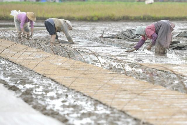 “惊蛰雨淋头，农民一年闲” 有啥说法？惊蛰下雨是什么兆头？