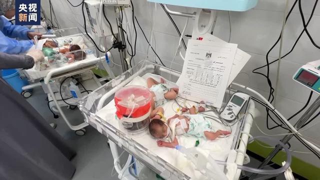 加沙地带新生儿被迫共用保温箱 医疗资源捉襟见肘