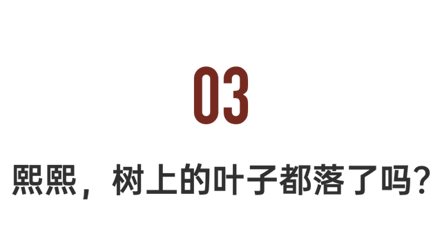 家里的白墙上,全是熙熙的画.从矮一点的墙面,慢慢长到现在的身高.
