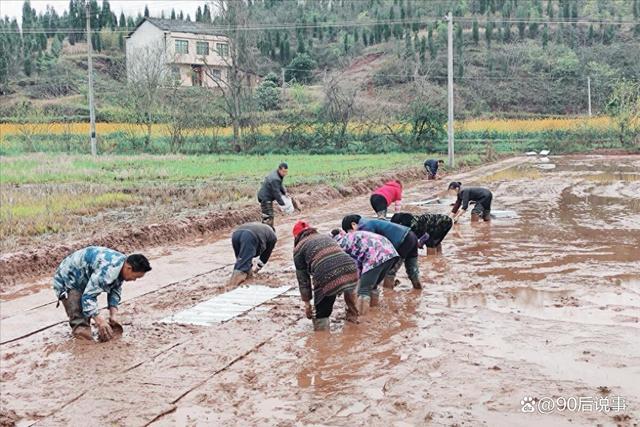 今日二月初四 提醒：1不碰、2不去、吃3样！羊肉、豆腐、春饼