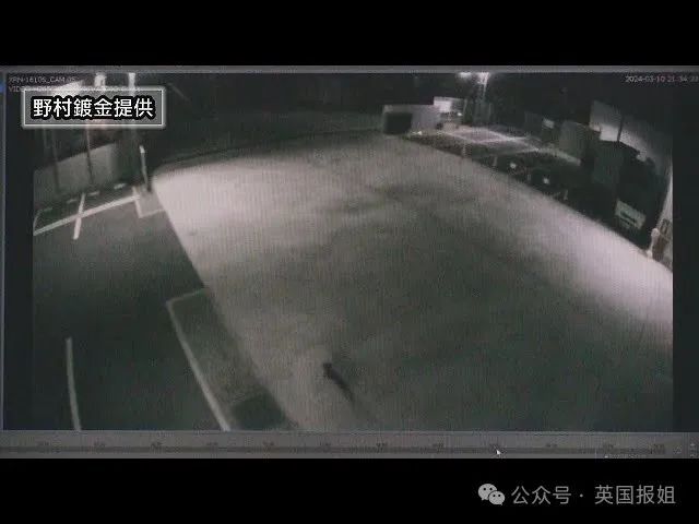 日本广岛一只猫掉进强毒物液体后逃走，警方发布寻猫启事：碰了可能致癌。