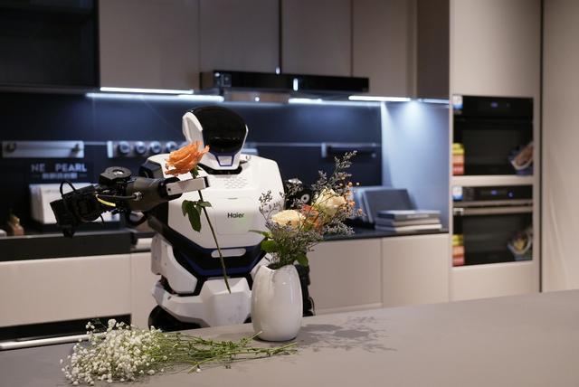 消费电子博览会：人形机器人已入得厅堂下得厨房