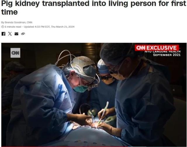 美医院完成全球首例活体人类移植猪肾脏手术 患者目前恢复良好