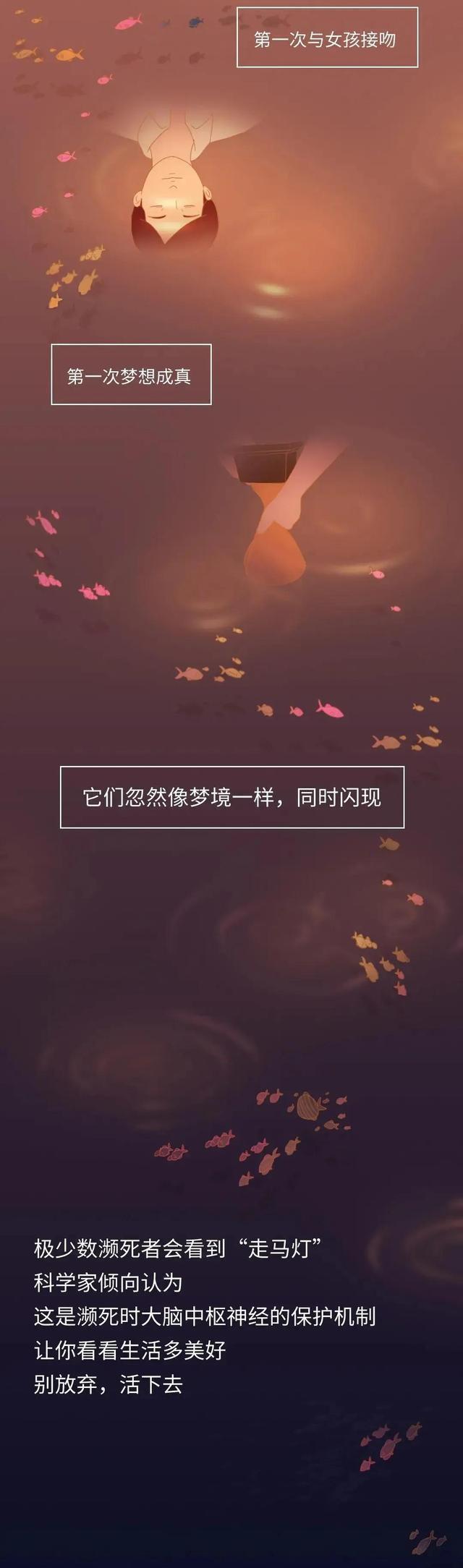 死亡前的30秒，人会看见什么？