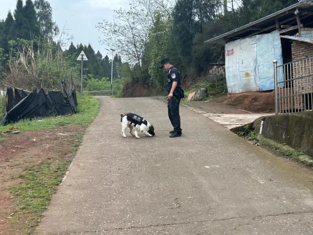 四川一男子杀妻抛尸山洞 警方3天破案，警犬立功！