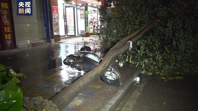 广西田林遇雷暴大风 路面通行受阻