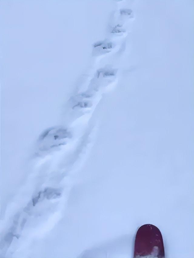 游客滑雪掉进暗坑身亡 当地文旅：严禁道外滑野雪