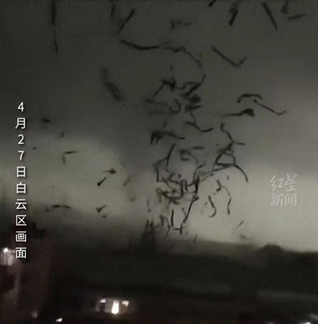 官方回应广州一厂房被龙卷风吹翻