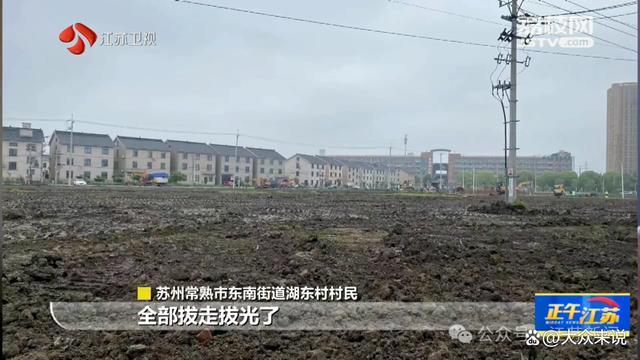 公园建成5个月被拆 损失谁承担 官方通报调查进展