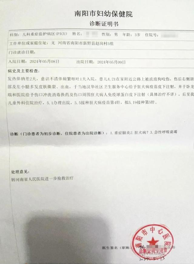 男童被狗咬伤去世疫苗为何无效 人还来不及产生抗体狂犬病就已发病