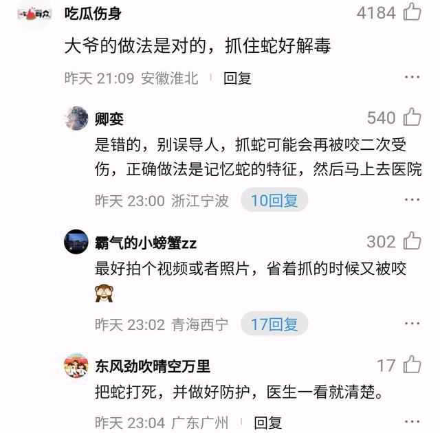 八旬老人被毒蛇咬后忍痛打死带去医院 教科书式自救引赞叹