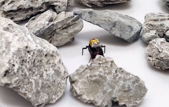 科研人员模仿蟑螂造了款机器人