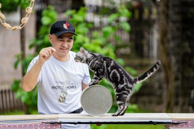 温州“滑板猫”创吉尼斯纪录 灵动身影征服全球网友