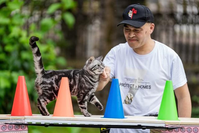 温州“滑板猫”创吉尼斯纪录 灵动身影征服全球网友