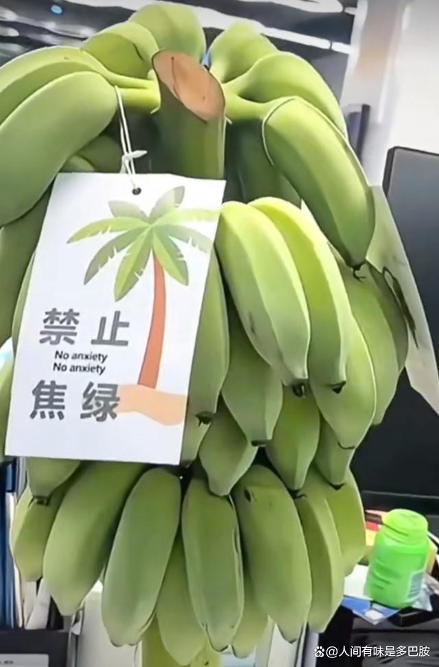 这届年轻人用蕉绿打败焦虑 创意盆栽疗愈心灵