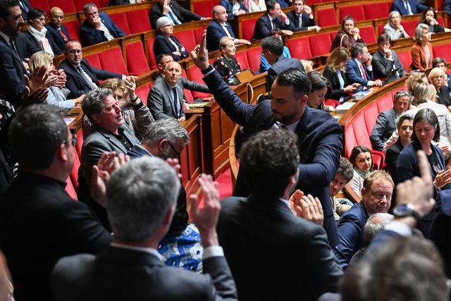法国议员挥舞巴勒斯坦国旗遭“最高处罚”