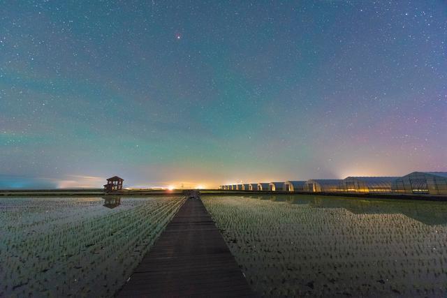 延时摄影看北大仓星空稻田好惊艳 稻田星光画卷美不胜收