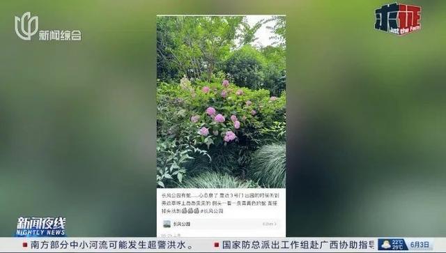 上海世纪公园有蛇出现 专家提醒 生态好转引野生动物频现