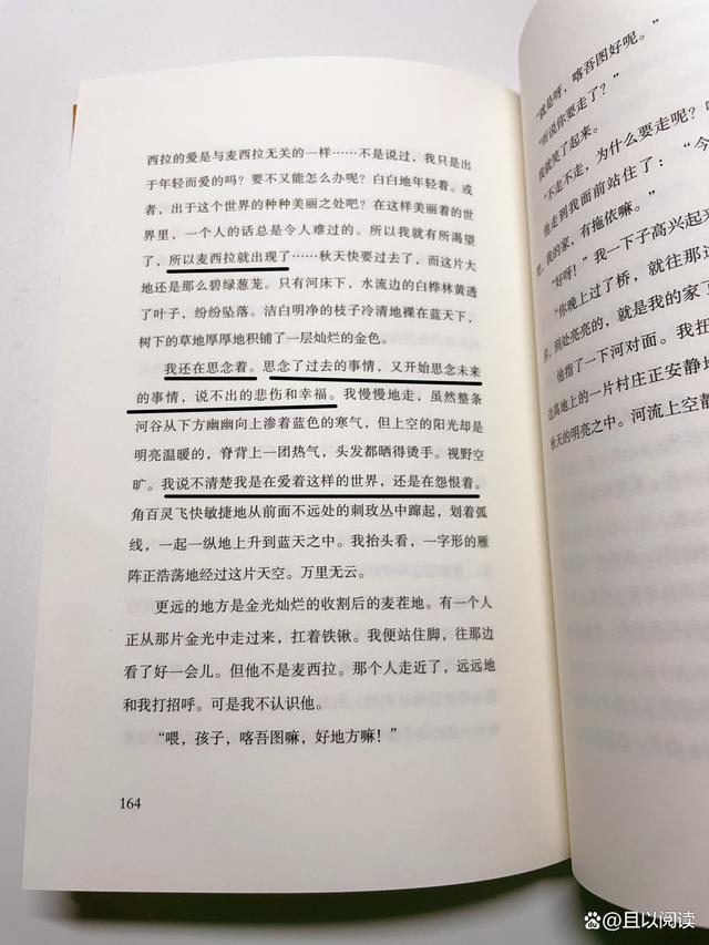 《我的阿勒泰》更适合看剧还是看书 剧与书的浪漫对决