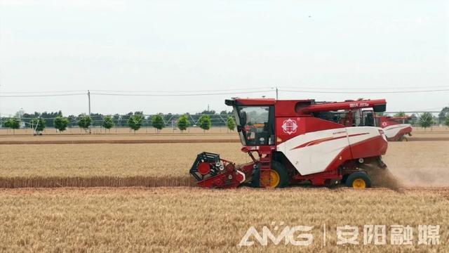 安阳实现千亩无人农场小麦收割 科技引领农业未来