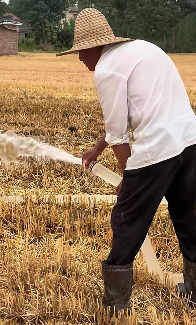 河南农民称几十年没遇到此重旱