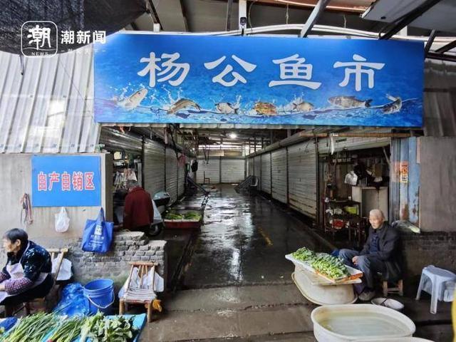 钱塘江禁渔期解封 百斤刀鱼抢先上市，江鲜回归！