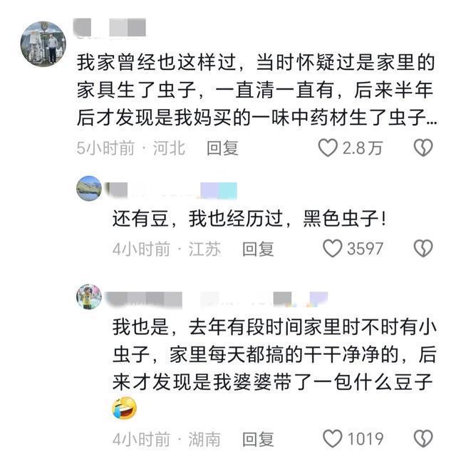 家里天花板突然出现大片蛆虫 来源成谜引网友热议