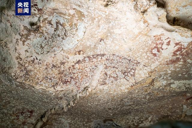 已知最古老洞穴绘画 人类与野猪共舞5万年