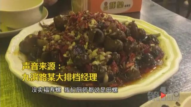 一只就有几千条寄生虫，却被“伪装”送上餐桌！千万别乱吃......福寿螺冒充田螺警示