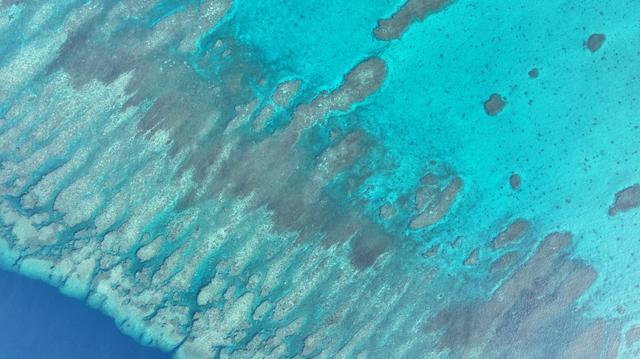 黄岩岛被中国保护得媲美大堡礁 生态调查驳斥菲方谬论