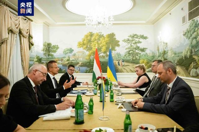 乌克兰外长与匈牙利外长举行会谈