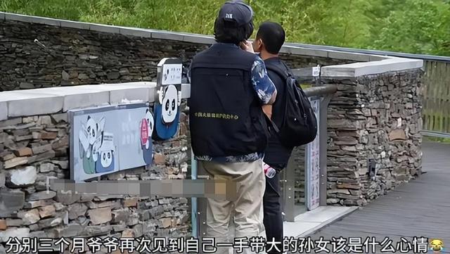 福宝没认出姜爷爷 温情重逢变遗憾瞬间