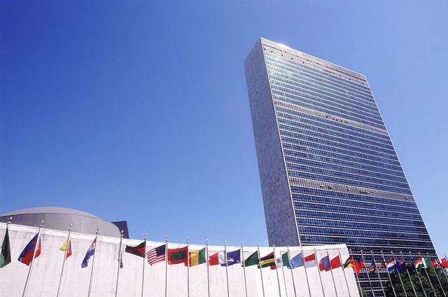 中国常驻联合国代表：中方不得不投了弃权票