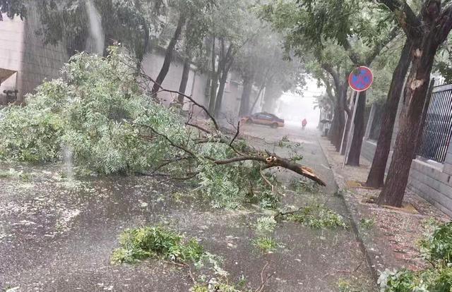 石家庄“退伍老班长”暴雨中救人