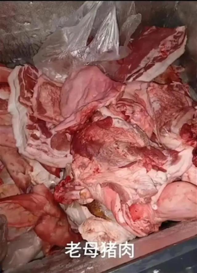 学校餐配送问题猪肉：肉根本咬不动，供应商被实名举报