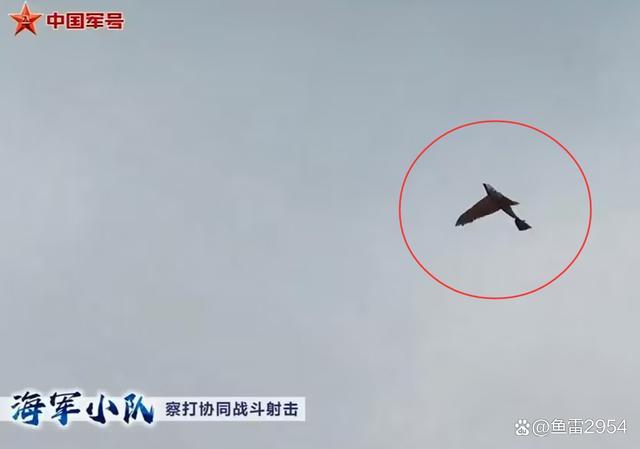 帅爆了！中国鸟形无人机亮相：士兵手动放飞 悄无声息搞定战场侦察 ——仿生科技引领未来战场