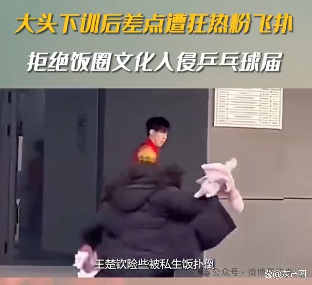 樊振东曾因拒绝饭圈化被网暴 体育精神不容饭圈侵蚀