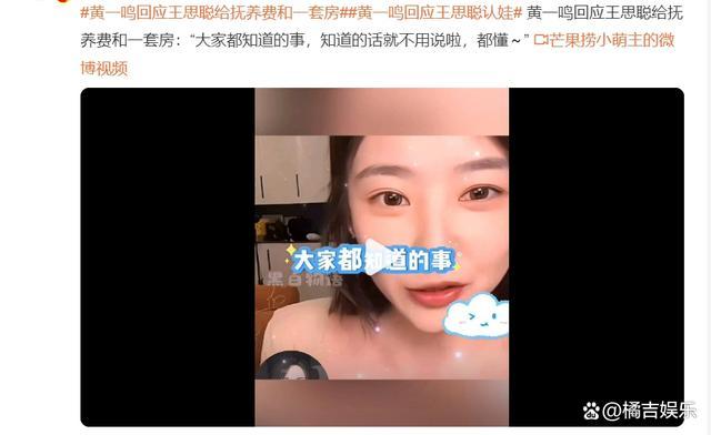 黄一鸣似默认王思聪五个亿认娃？给豪门未婚生子，女星们是精明还是傻