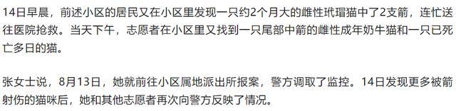 警方回应小区多只猫咪被箭射伤 嫌疑人已控制