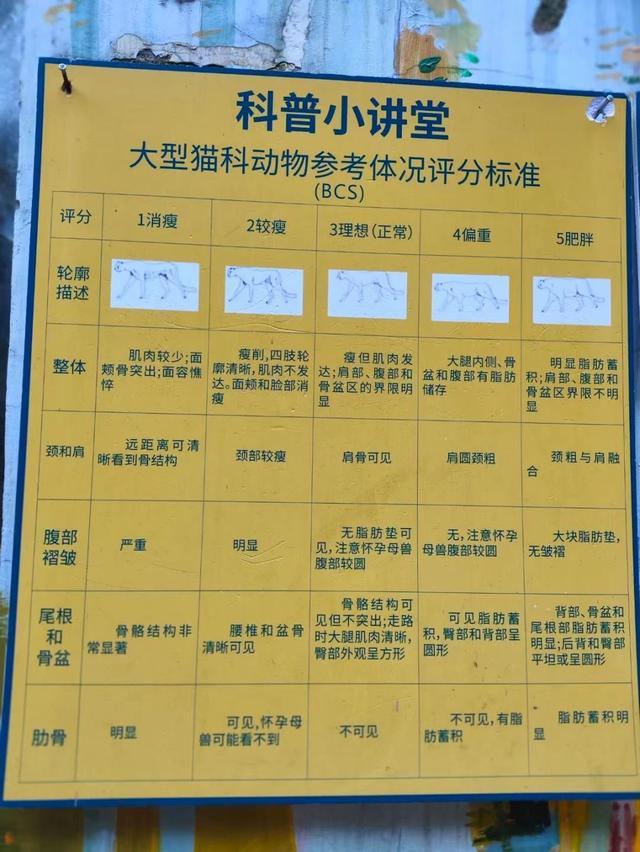 黔灵山公园回应将改善邋遢狮形象