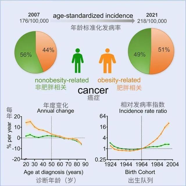 00后癌症发病率是父辈们的25倍 肥胖成诱因，警惕"胖癌"危机