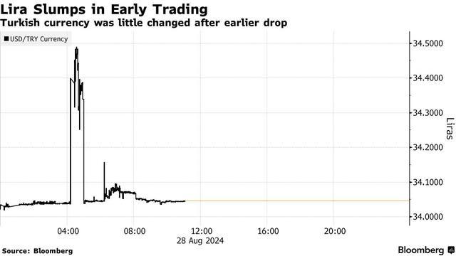 土耳其里拉短暂暴跌