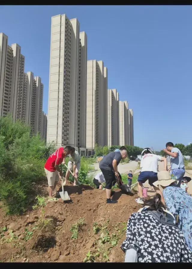 道路建好三年未交付业主称脏乱差 业主无奈自修路引热议