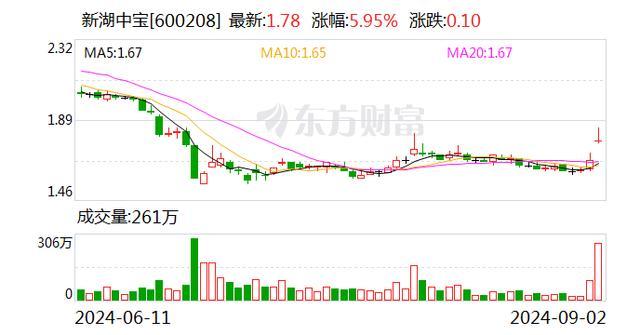 涉百亿元纠纷？新湖集团首度回应